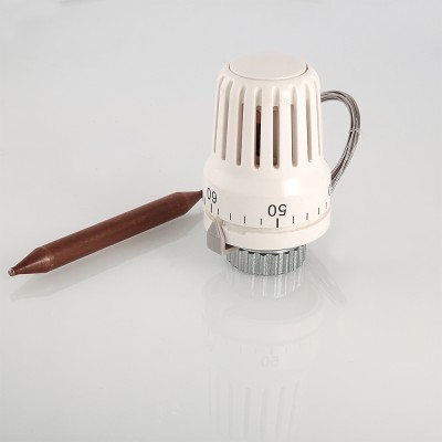 Термоголовка с погруж. датчиком VT.3011.0.0