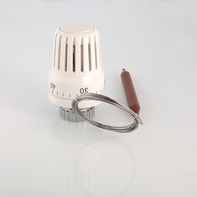 Термоголовка с погруж. датчиком VT.3011.0.0