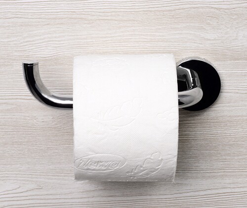 Держатель туалетной бумаги  Rhein K-6296