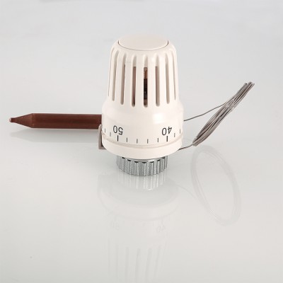 Термоголовка с погруж. датчиком VT.3011.0.0