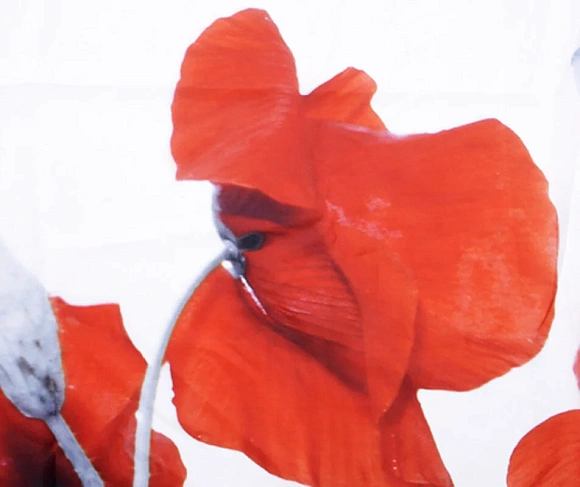 Штора для ванной Main SC-47101 WK