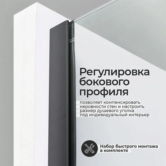 Душевая дверь  Elbe 74P04 WasserKRAFT