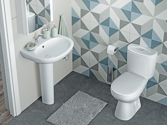 Раковина с пьедесталом "Анимо-55"